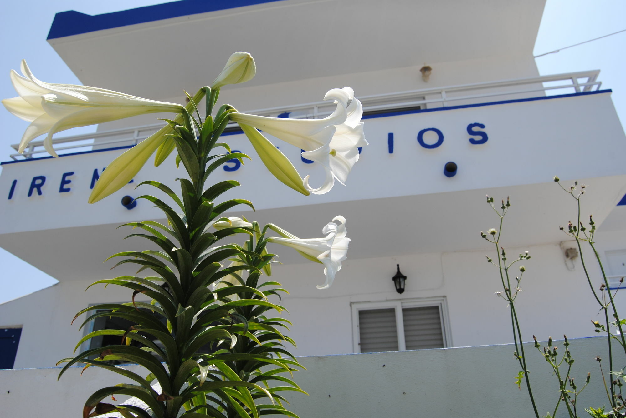 Irene Studios Kefalos  Luaran gambar